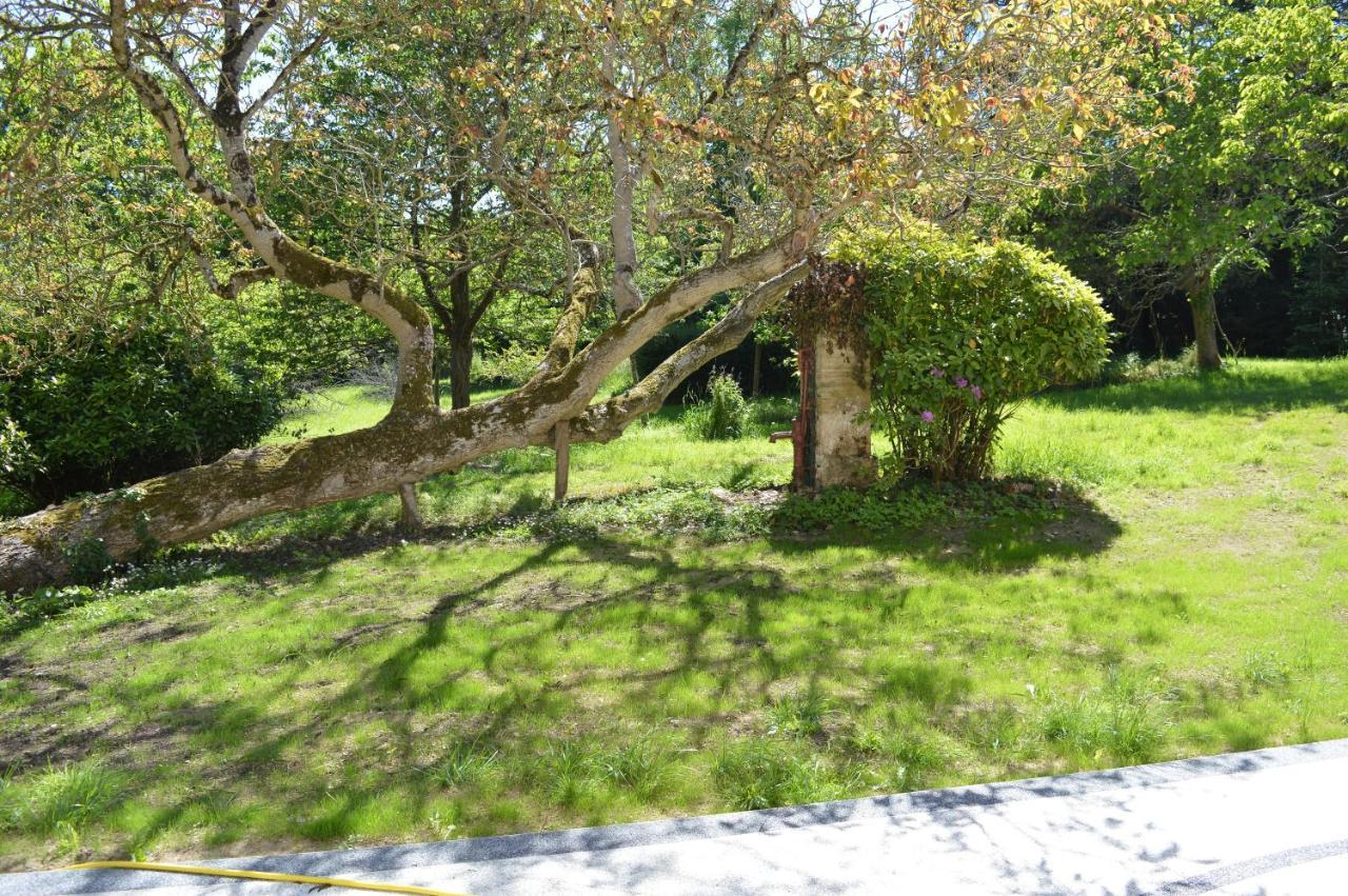 Maison typique - Très grand jardin - 7km de la mer Fontaine-Henry Extérieur photo